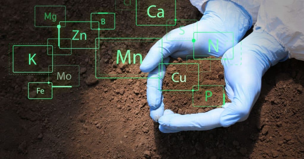 Soil Remediation & Testing in Wakefield